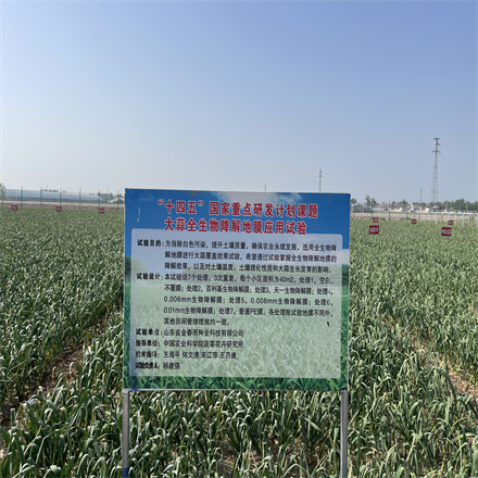“十四五”國家重點(diǎn)研發(fā)計(jì)劃課題 大蒜全生物降解地膜應(yīng)用試驗(yàn)